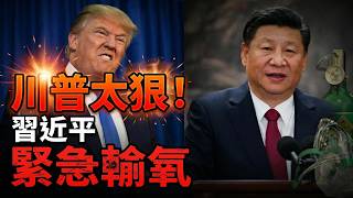 ����̫�ݣ�ϰ��ƽ��������