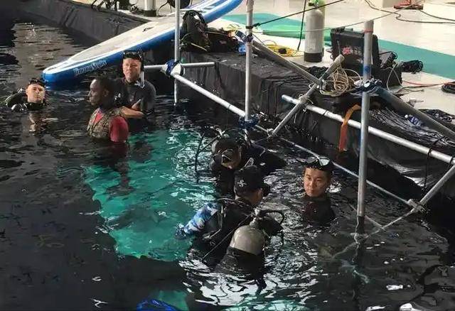 身体亮红灯?52岁吴京脸部凹痕引关注 身体亮红灯?52岁吴京脸部凹痕引关注