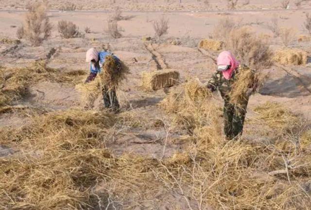 20多年前曾被预言即将消失的中国城市，如今怎样