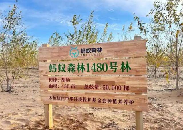 20多年前曾被预言即将消失的中国城市，如今怎样