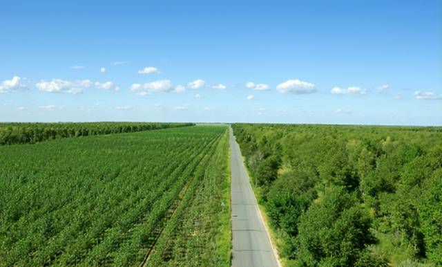 20多年前曾被预言即将消失的中国城市，如今怎样