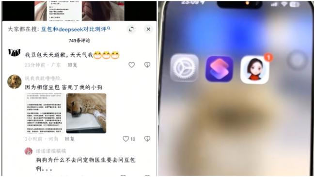 大陆网友吐槽:相信AI用错药 害死自家小狗 大陆网友吐槽:相信AI用错药 害死自家小狗