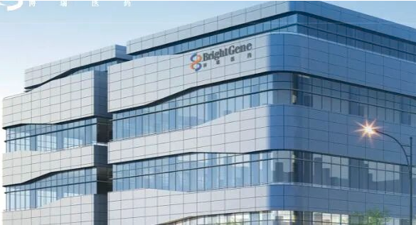 ��97������ֵ216�ڹ�˾���£������ҵ ������