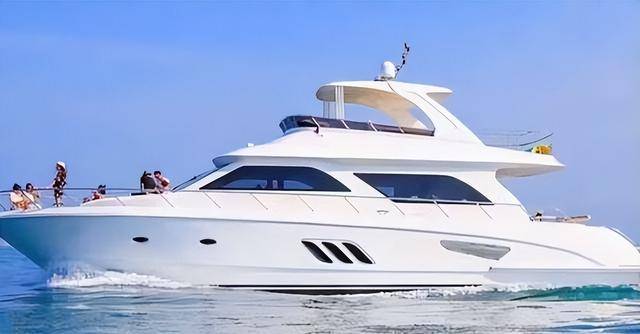 中国美女总裁在美遭判刑20年 全部资产被美收缴