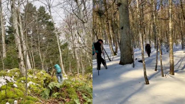 徒步穿越雪山隧道 中国社媒热传走线德国视频