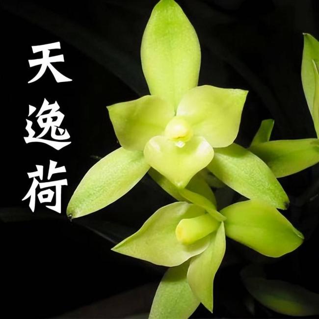 跌落神坛的八大顶级商品，号称一件能顶一套房