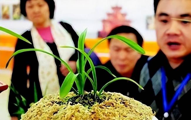 跌落神坛的八大顶级商品，号称一件能顶一套房