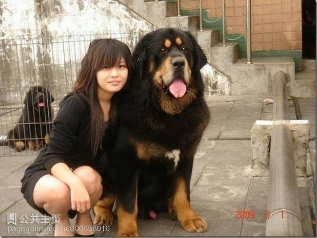 跌落神坛的八大顶级商品，号称一件能顶一套房