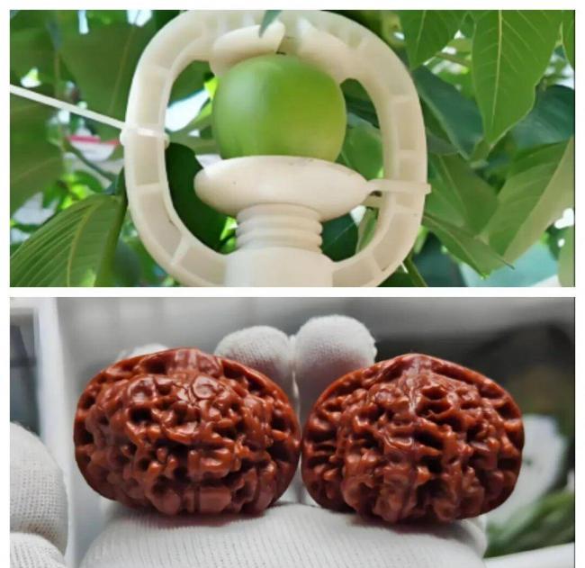 跌落神坛的八大顶级商品，号称一件能顶一套房