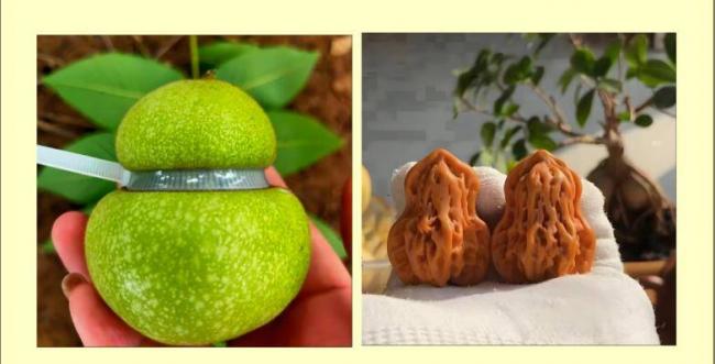 跌落神坛的八大顶级商品，号称一件能顶一套房