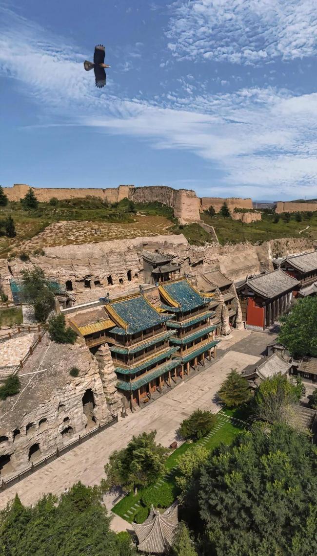 ����ս���£��ŷ����й���ţ���ƾ������ʡ