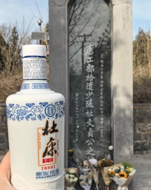 曹操墓前，为何全是布洛芬？