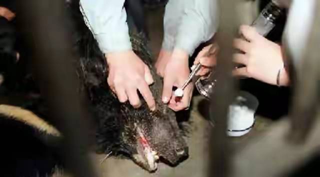 ������Ũ�������ܵ��廪���ӣ����������