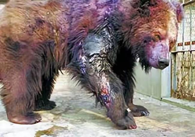 ������Ũ�������ܵ��廪���ӣ����������