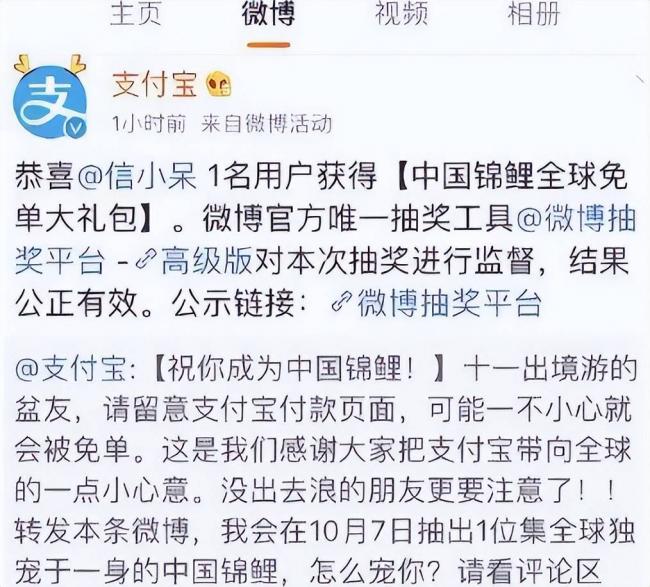 支付宝中奖1个亿,那个锦鲤女孩如今怎样了 支付宝中奖1个亿,那个锦鲤女孩如今怎样了