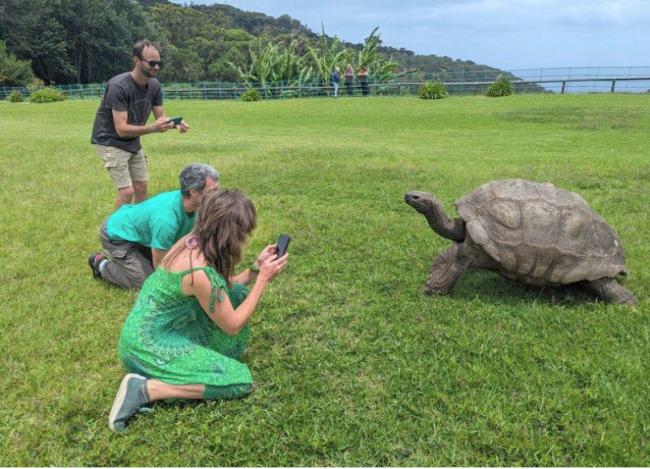 ҥ���ѹ��� 193�����Ͼ޹ꡰ��������