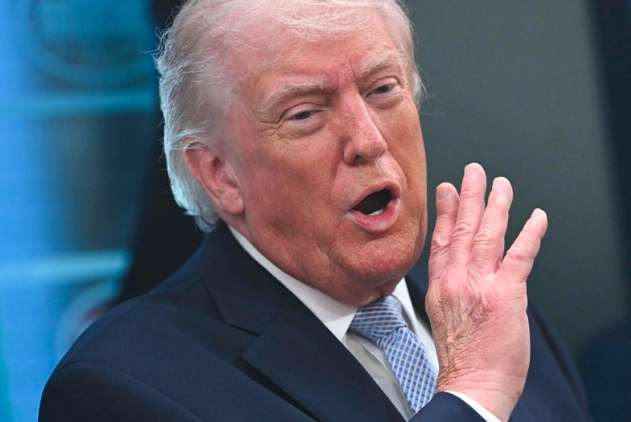 ��Ѷ������Ҫ�����ʡ����ʡ���Ӫ����ľ�Ⱥ�Ͽ