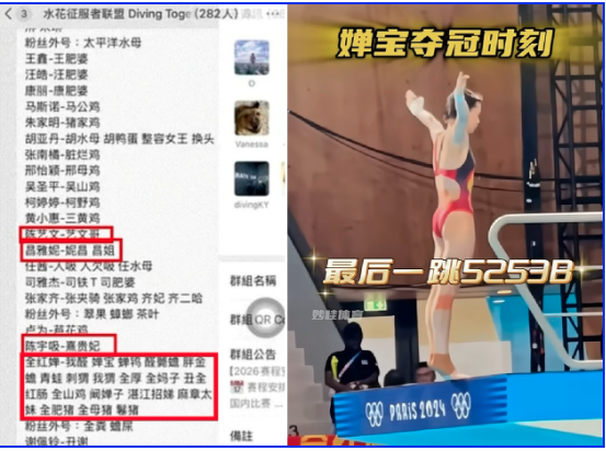 体制精英排挤草根天才 全红婵惨遭集体霸凌