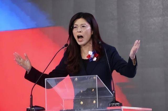 郑丽文的婚姻：女主外男主内，不生育孩子