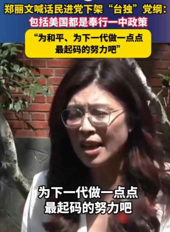 郑丽文的婚姻：女主外男主内，不生育孩子