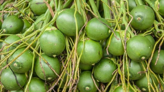 这水果是毒品！中国却有6000万人上瘾