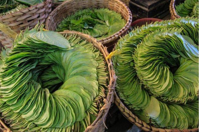 这水果是毒品！中国却有6000万人上瘾