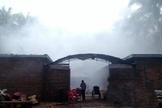 这水果是毒品！中国却有6000万人上瘾