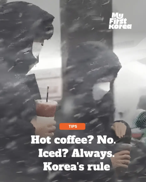 蒙古人哈韩到底有多激进? 蒙古人哈韩到底有多激进?