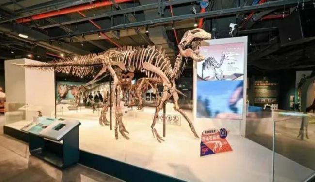 ͷ�����з������ʽ�µ� ��һ���츻�������