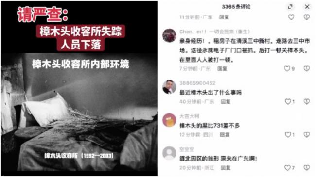 热搜被秒压,中国网民追问“樟木头” 热搜被秒压,中国网民追问“樟木头”