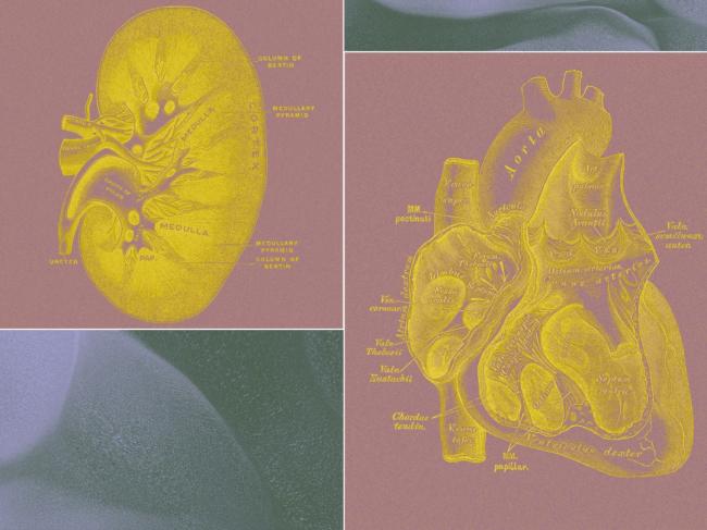 最恐怖的长生项目,正让全球富豪疯砸几十亿 最恐怖的长生项目,正让全球富豪疯砸几十亿