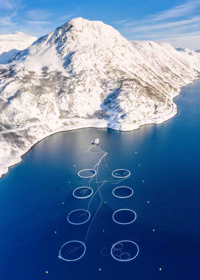 һ��81�ڵ�������¢�ϣ��첻����