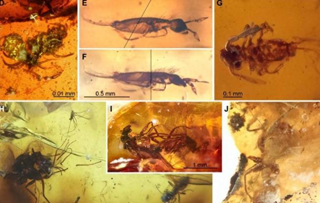 4100��������ǵ�˽���»�������Χ��