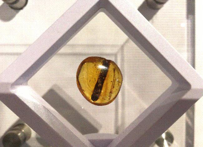 4100��������ǵ�˽���»�������Χ��