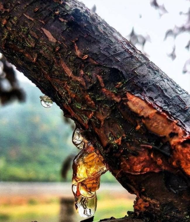 4100��������ǵ�˽���»�������Χ��