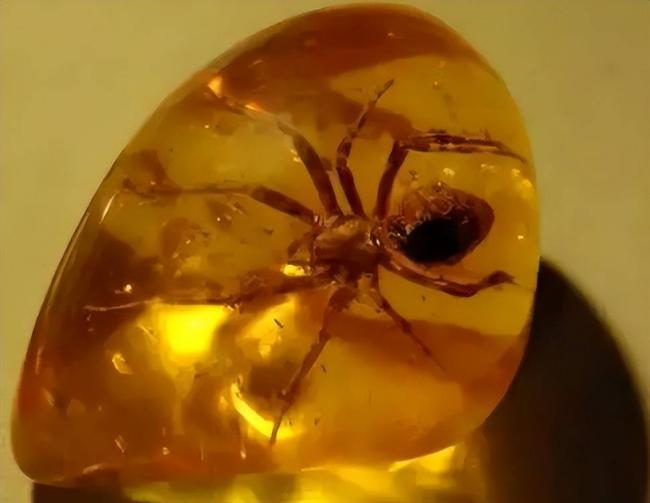 4100��������ǵ�˽���»�������Χ��