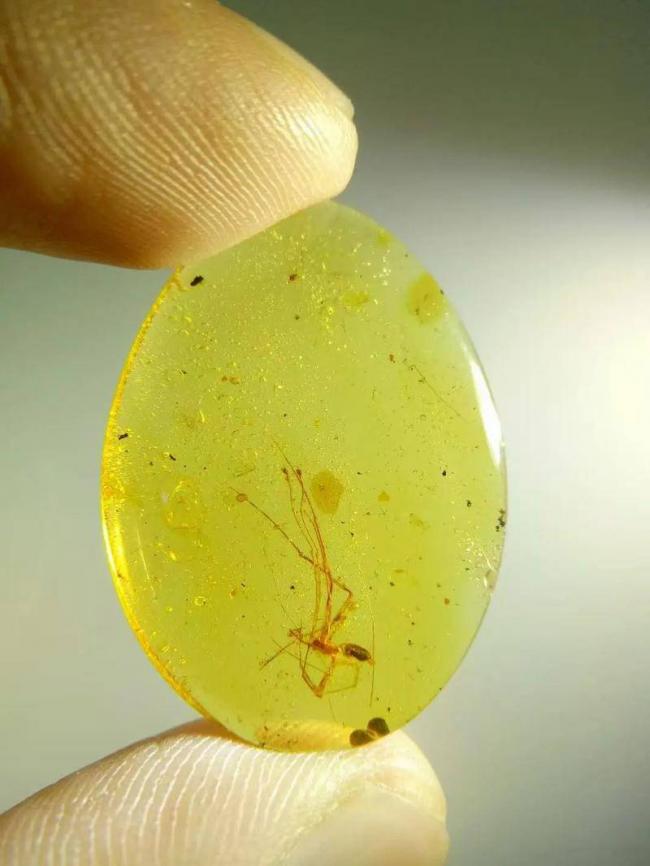 4100��������ǵ�˽���»�������Χ��