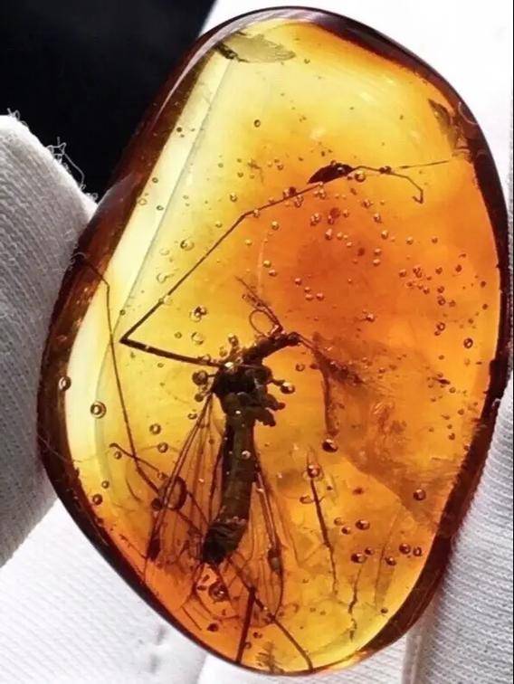 4100��������ǵ�˽���»�������Χ��