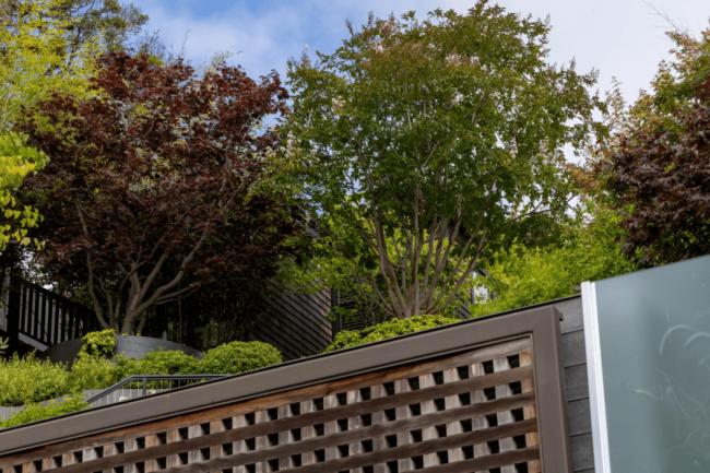 奥特曼豪宅48小时遇袭两次，反AI怒火烧向全球