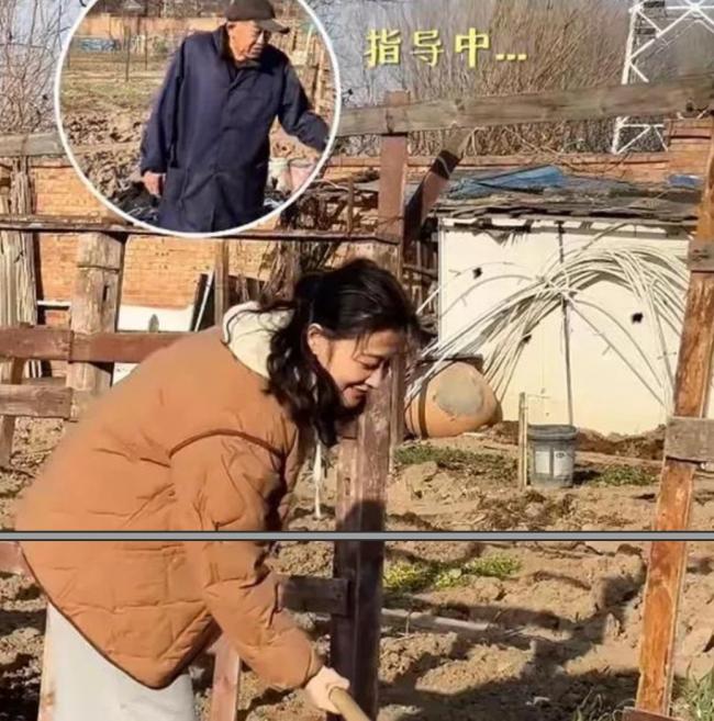 梅婷北京住大别墅还种地  和73岁公公种菜