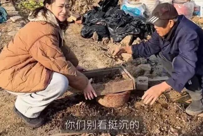 梅婷北京住大别墅还种地  和73岁公公种菜