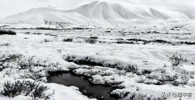 ����������ɽˮ�������й�Ϊ���Ӷ�����