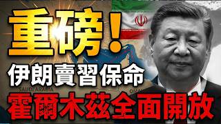 ����Ͷ�����º����ͱ������� ������������