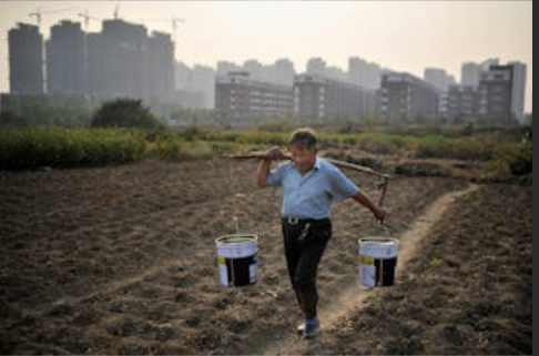 Ϊʲô�����˶�ũ������ô����⣿