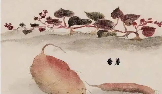 古代穷人每天吃什么 你可能一天都撑不下去