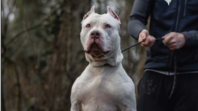 92���Ȯҧ�����˱��������У�����������12��