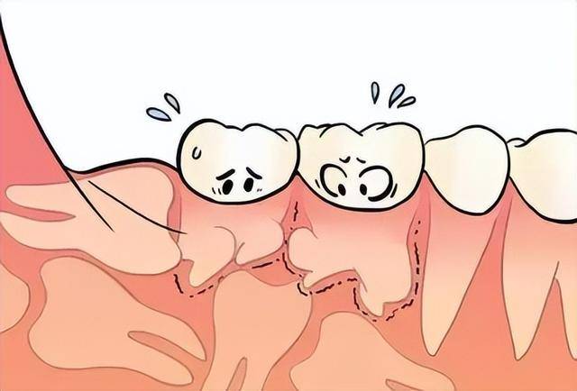 10�ֺ���������������ӵ��һ�����ǡ���ѡ֮�ˡ�