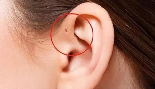 10�ֺ���������������ӵ��һ�����ǡ���ѡ֮�ˡ�