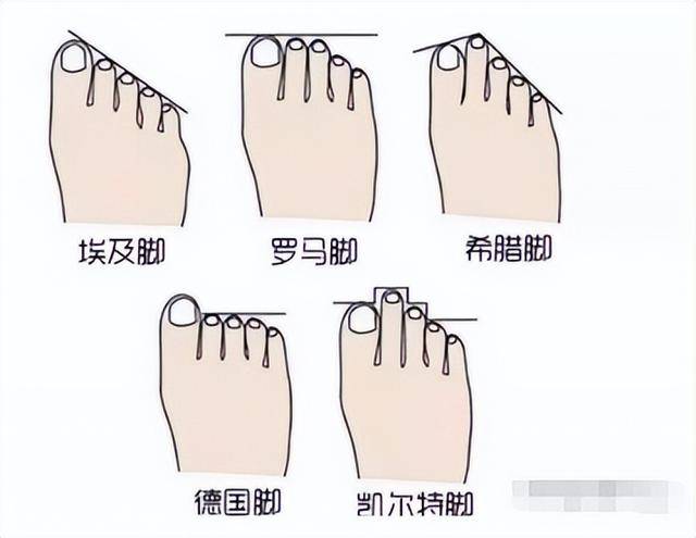 10�ֺ���������������ӵ��һ�����ǡ���ѡ֮�ˡ�