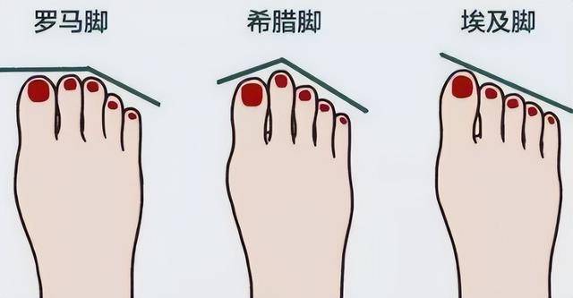 10�ֺ���������������ӵ��һ�����ǡ���ѡ֮�ˡ�